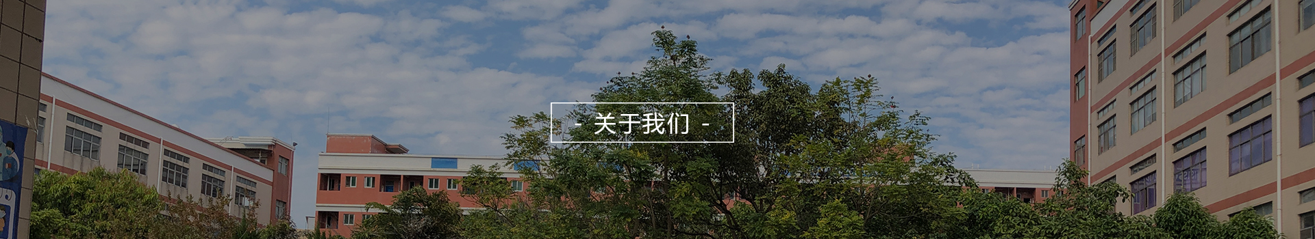 深圳市雅天藝術有(yǒu)限公(gōng)司